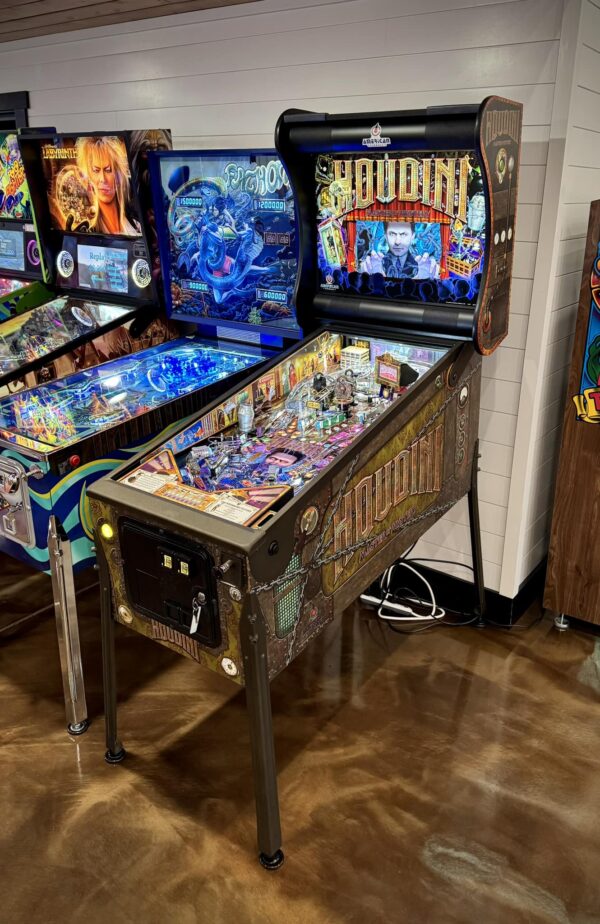 houdini pinball machine